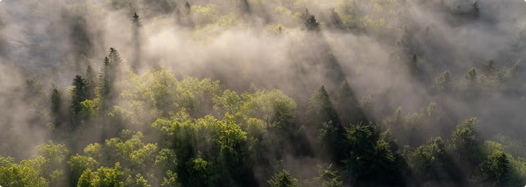 Carbon Footprint and Decarbonization Plan